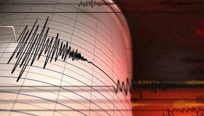 mild earthquake jolts
