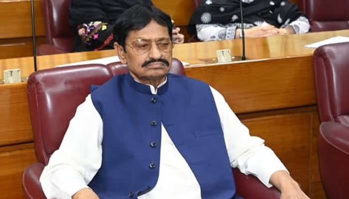 pmln mna malik