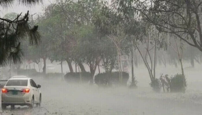 eight killed torrential
