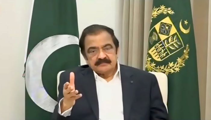 rana slams naqvis