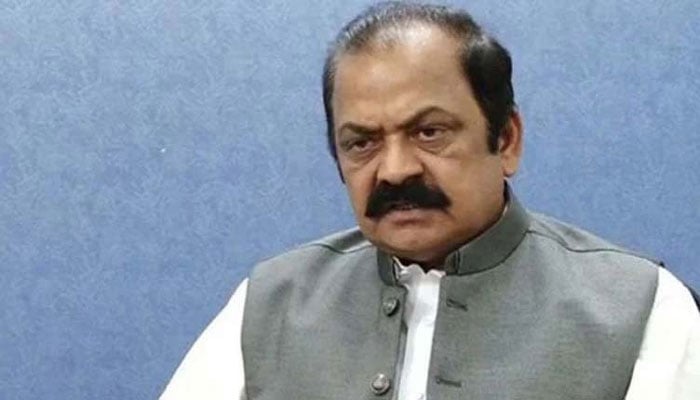 rana sanaullah dismisses