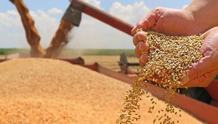 pakistan wheat import