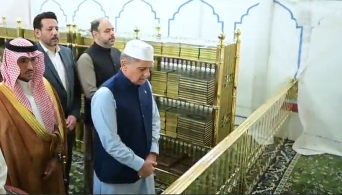shehbaz arrives madinah
