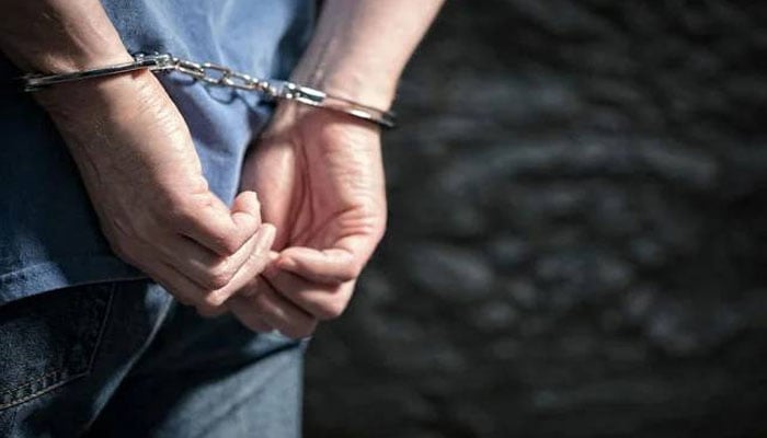 girl killed brother