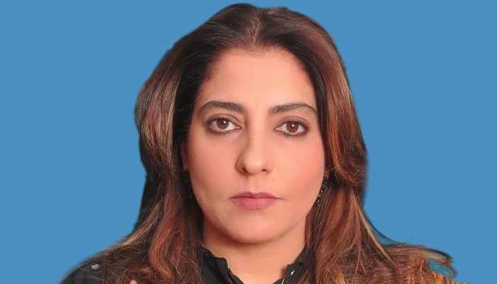 palwasha accuses pmln