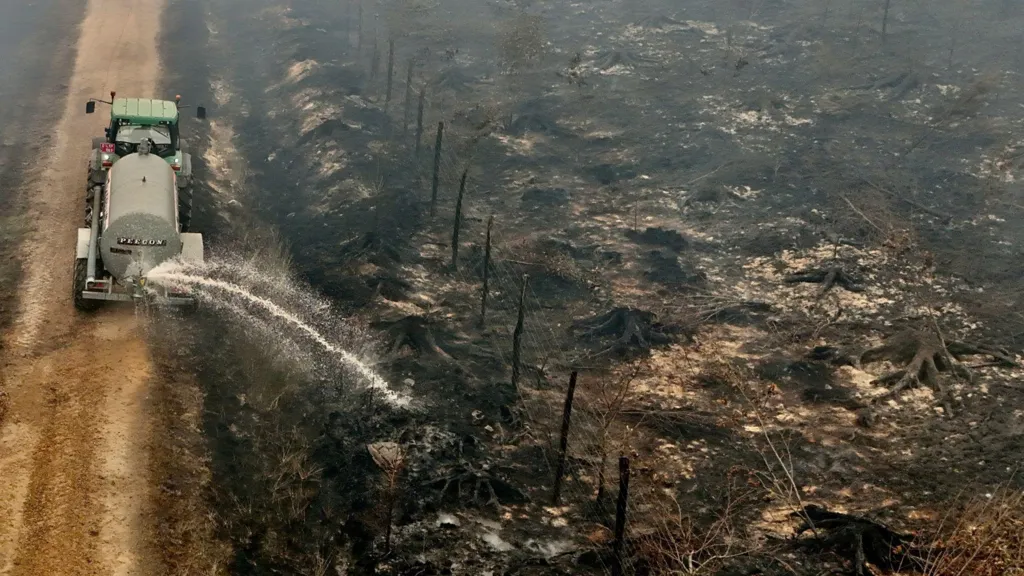 belgium8217s largest wildfire