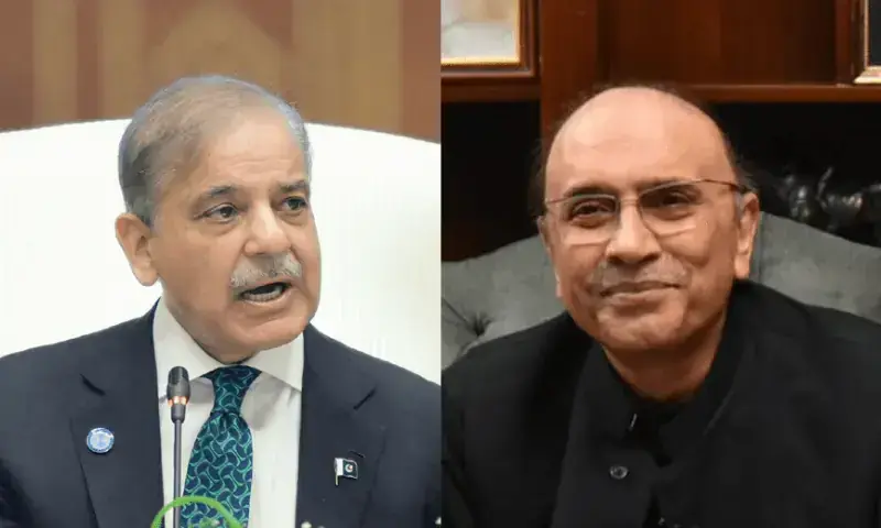 zardari shehbaz among