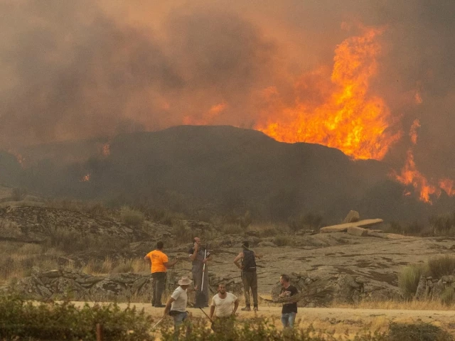 wildfire smoke drives