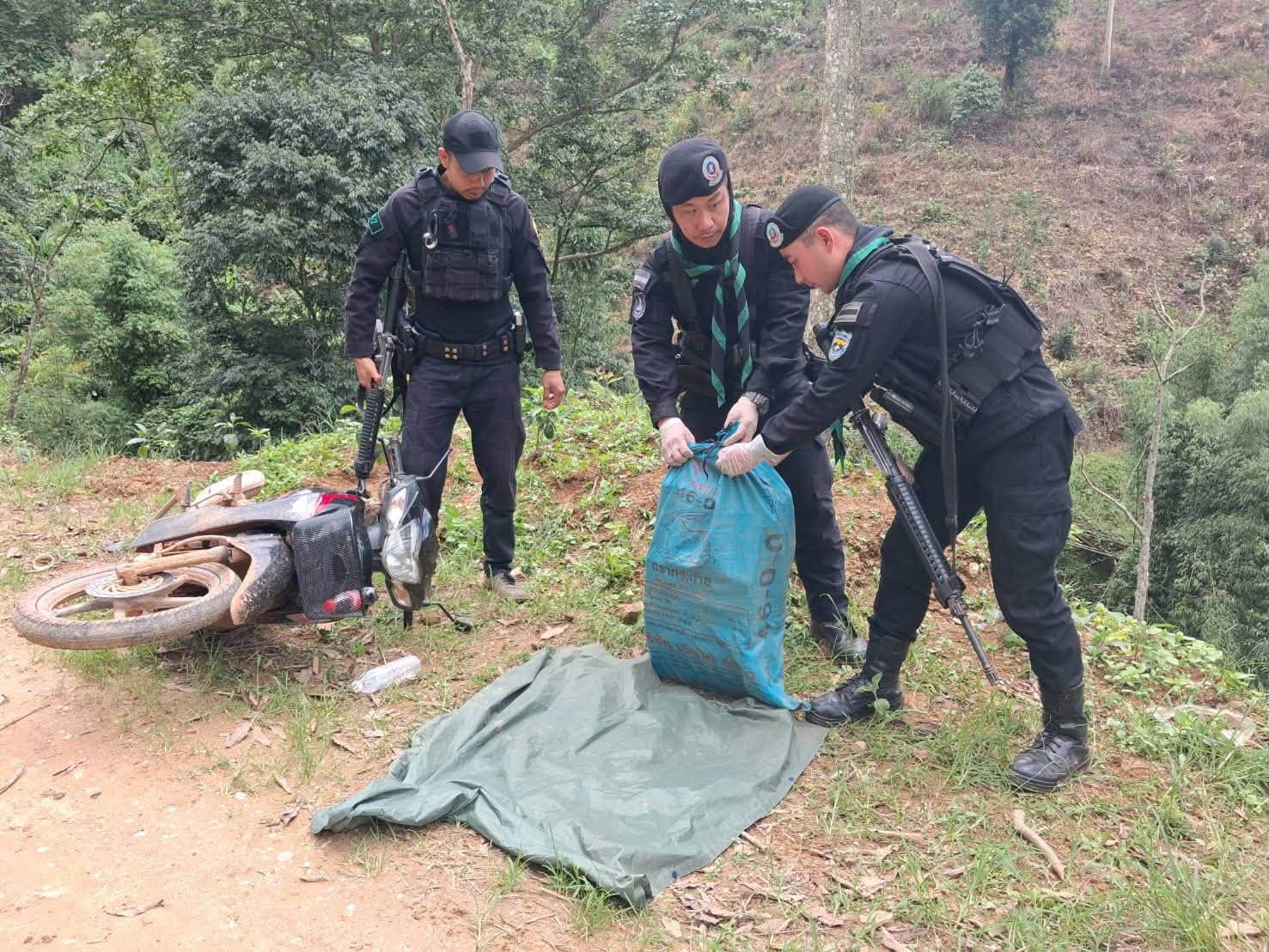 border patrol seizes