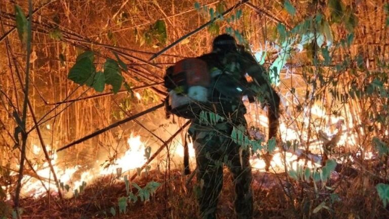 kaeng krachan wildfire