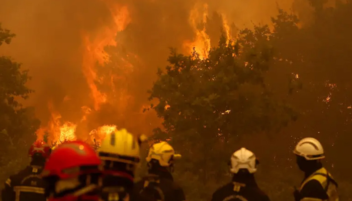 france wildfires force