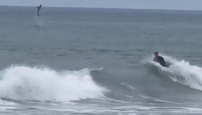 shark jump captured
