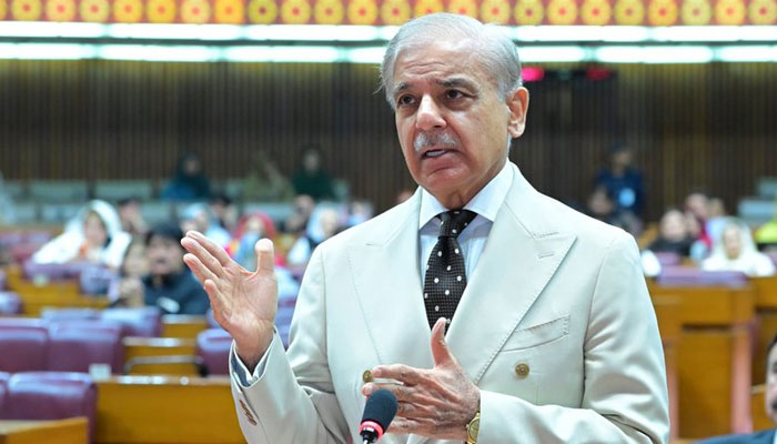 shehbaz govt outlasts