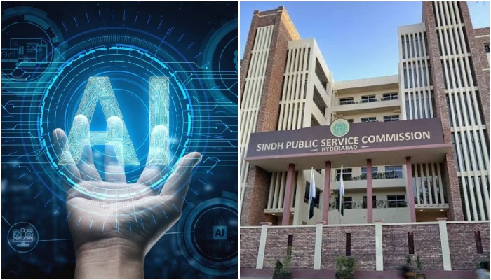 sindh introduce public