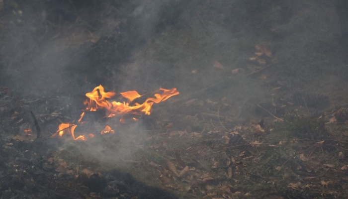 belgiums record wildfire