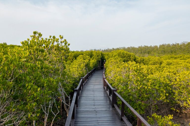 pranburi forest park