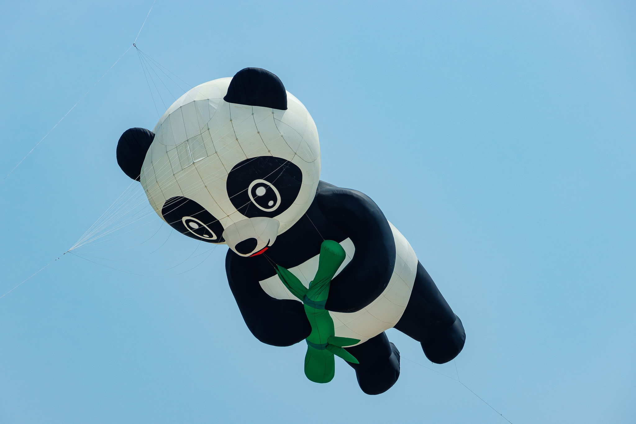kite art festival
