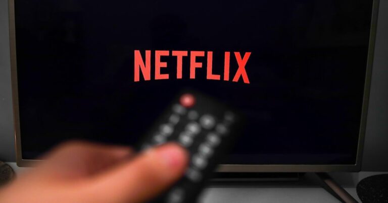 netflix renews freshman