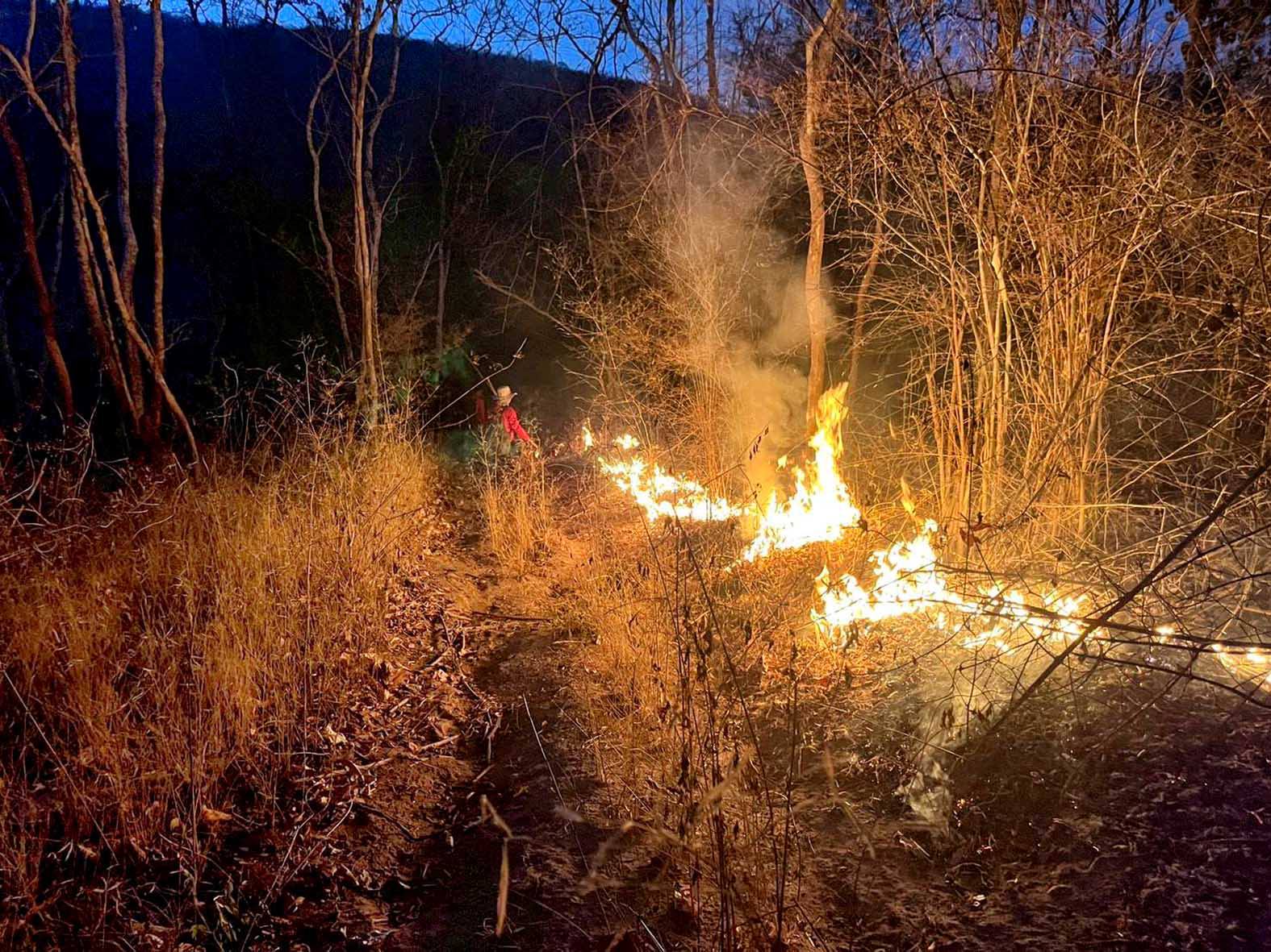 chaam wildfires prompt
