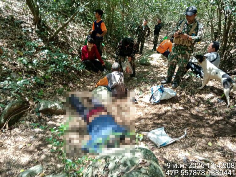 man killed wild