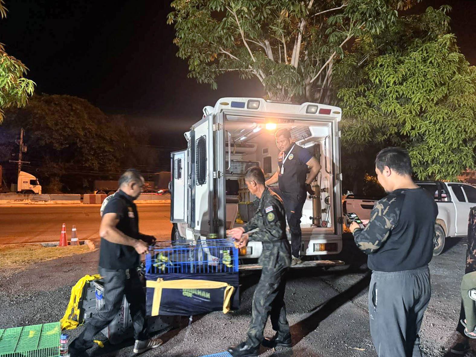 wildlife trafficking ring