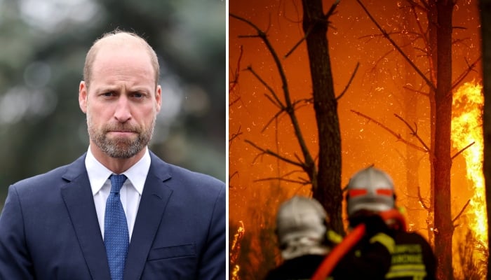 prince william issues