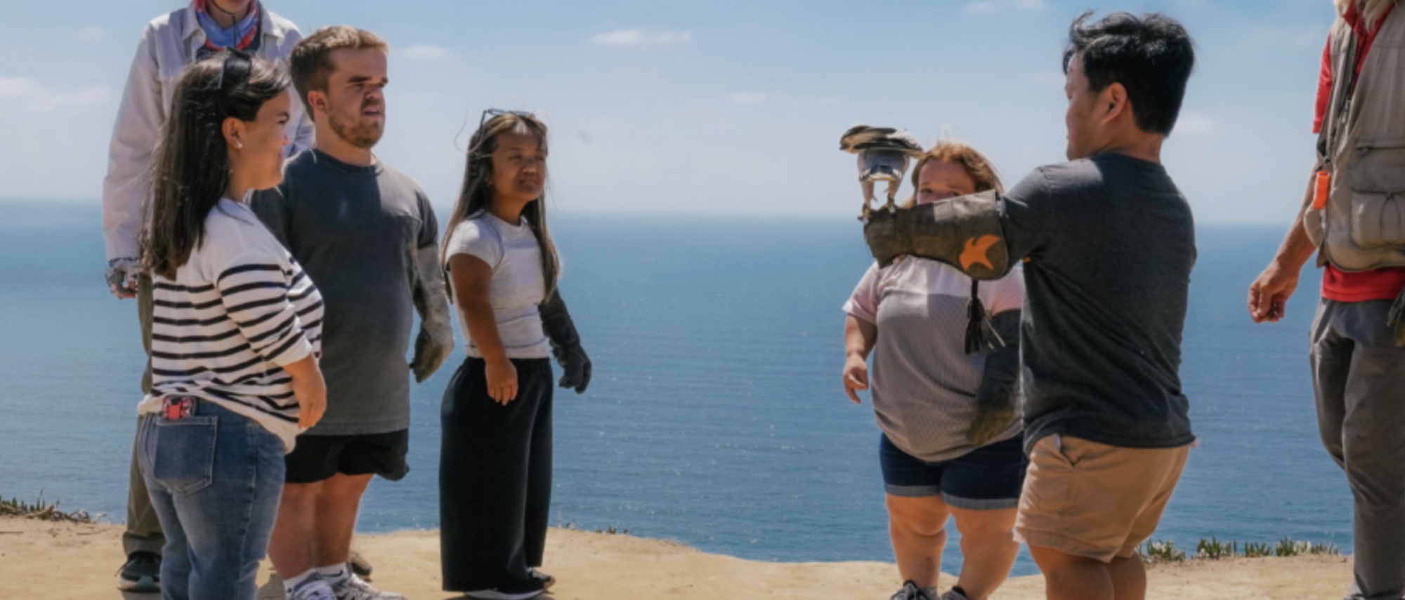 82167 little johnstons8217