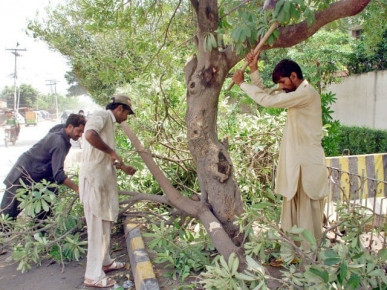 deforestation must discouraged
