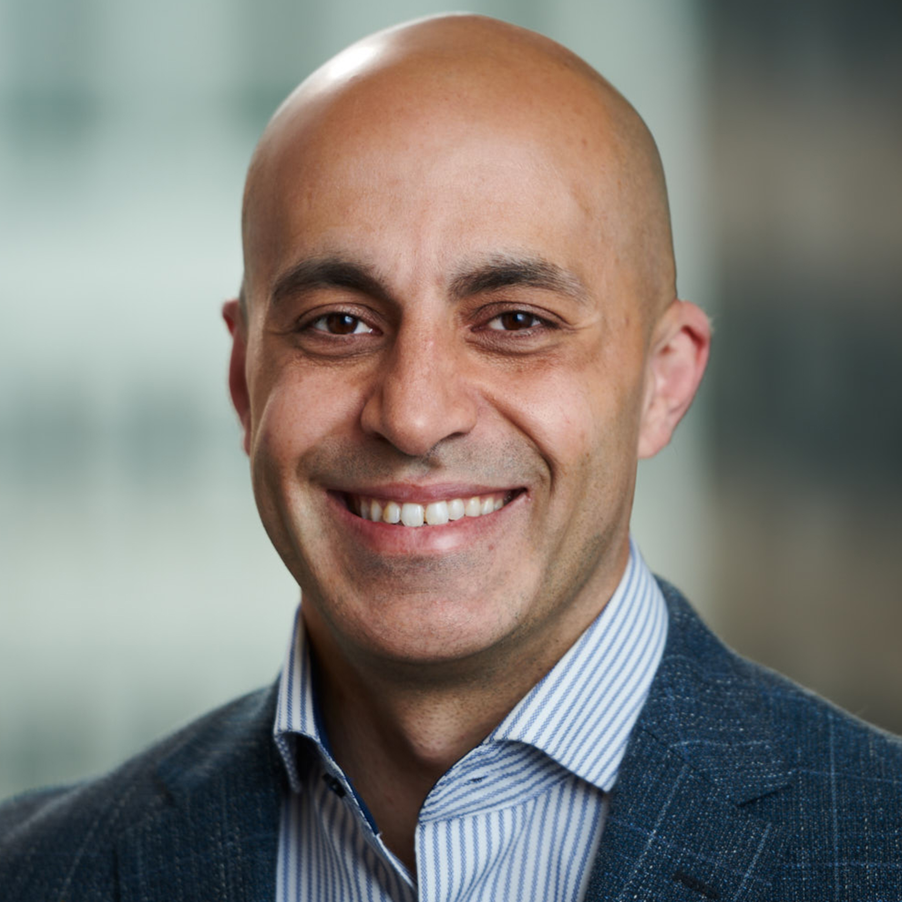 databricks wanted raise