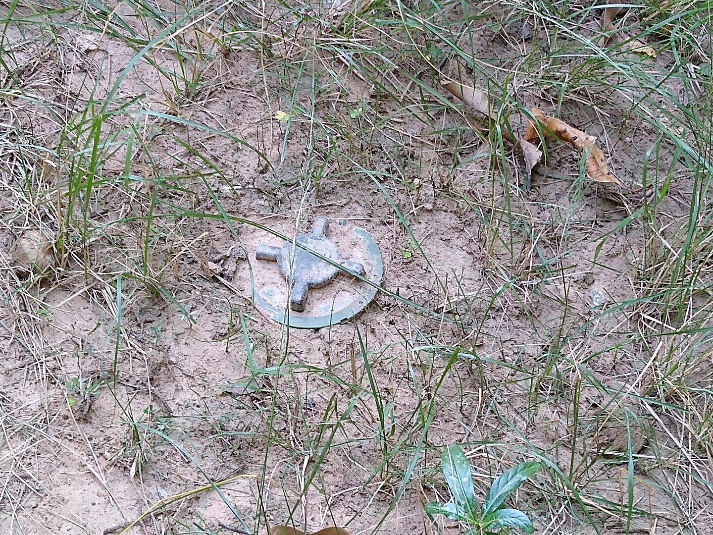soldier injured landmine
