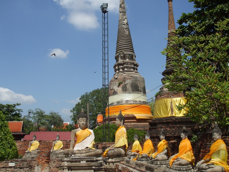 ancient temple tree