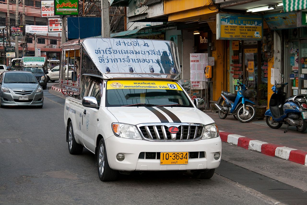 tourist hospitalised after
