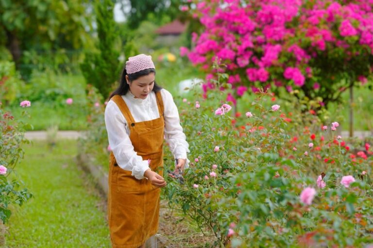 chiang rai woman