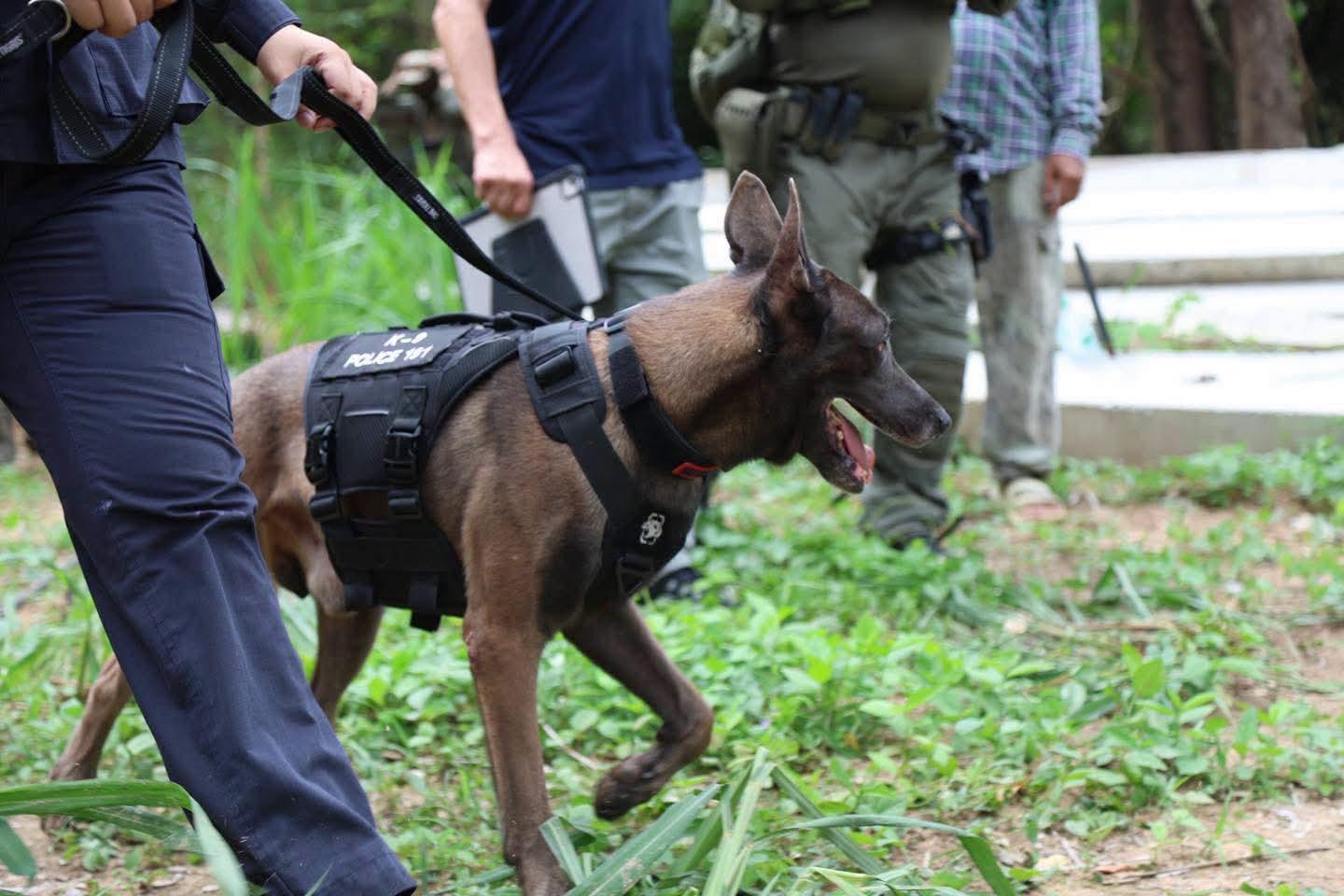 police deploy sniffer