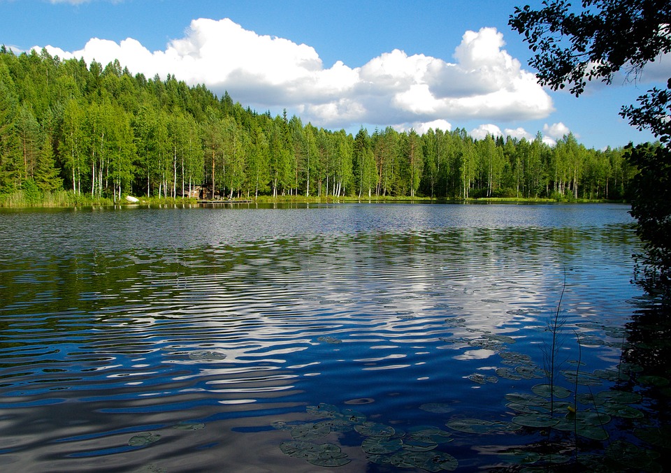 finnish court convicts
