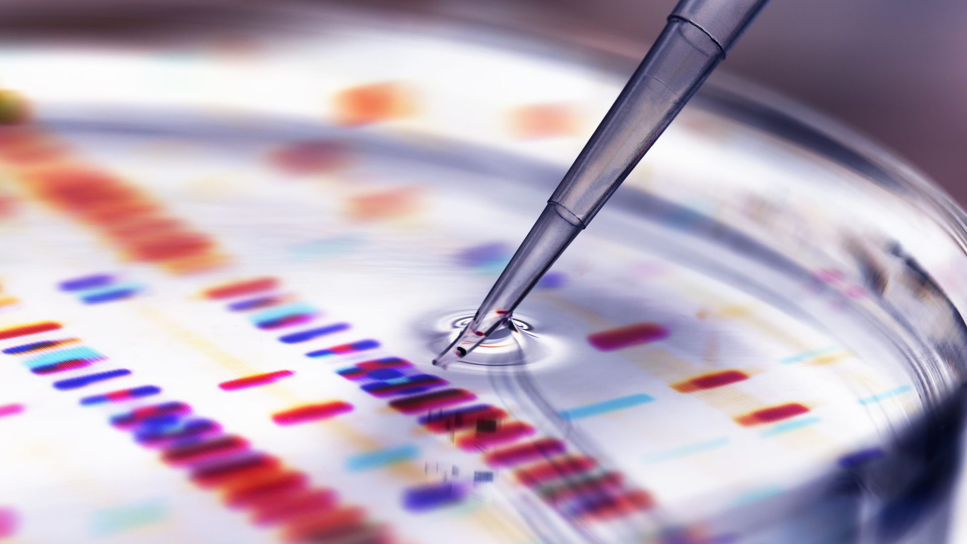 scientists can8217t get