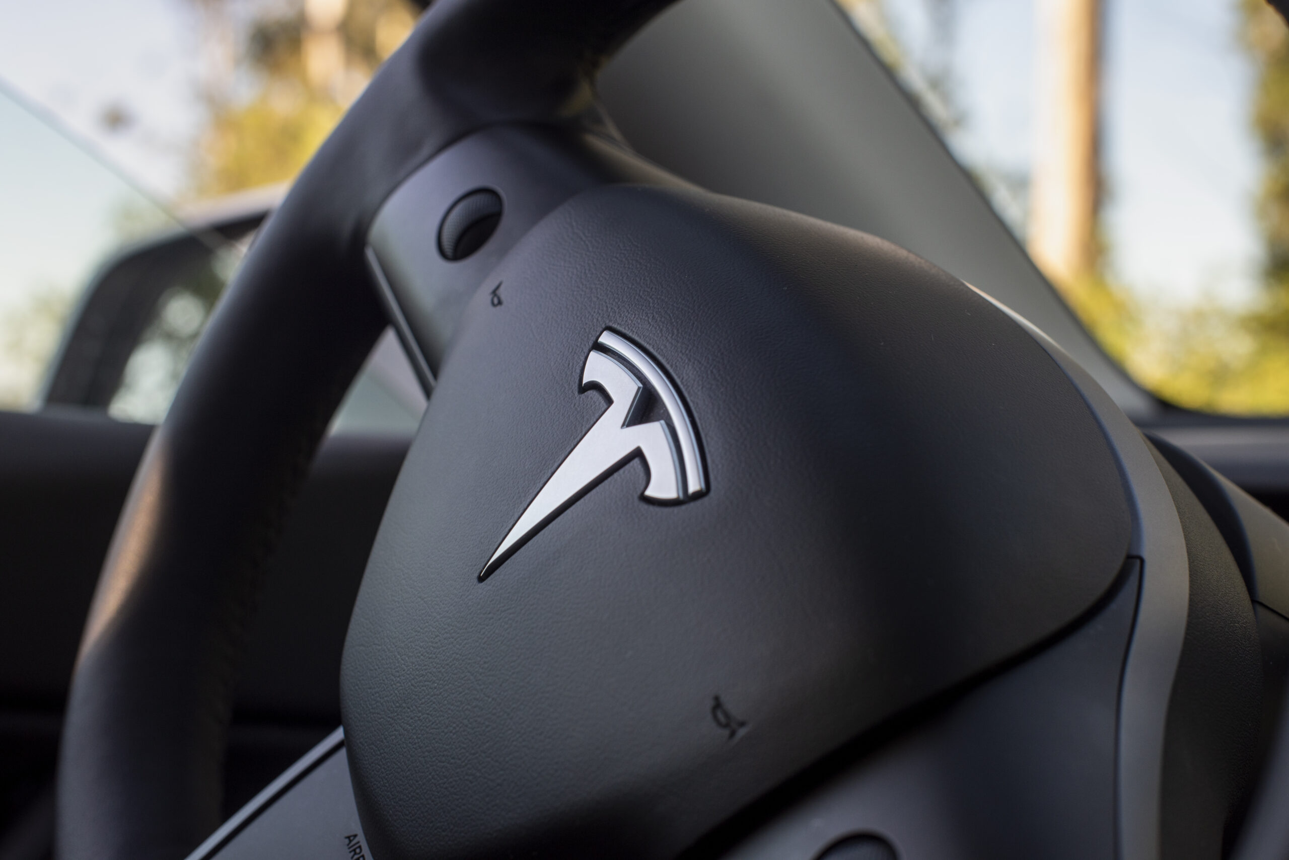 tesla adds 8216streaks8217
