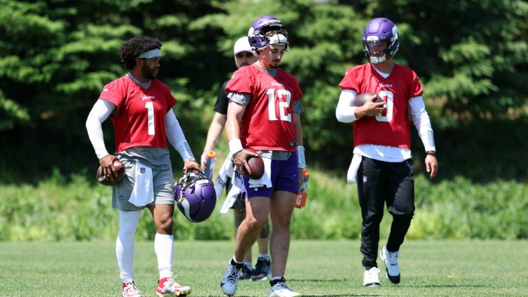 vikings finally reveal