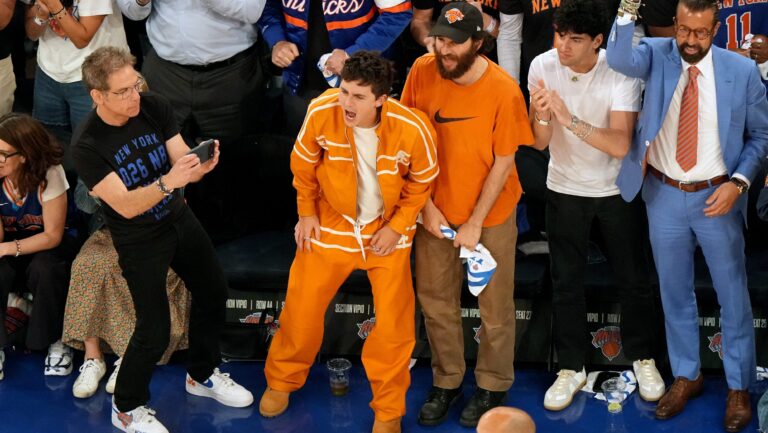 timothe chalamet more