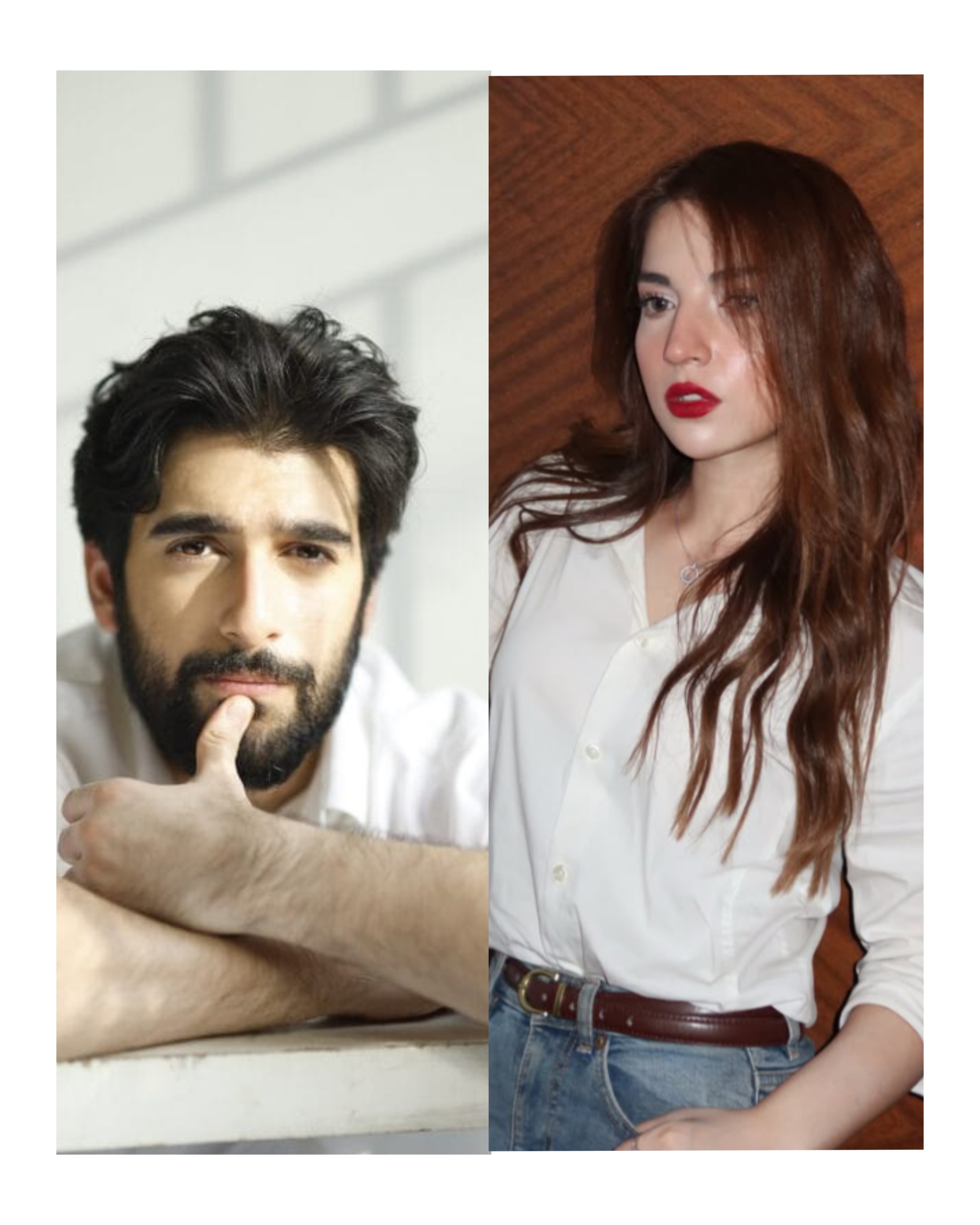 dananeer mobeen shuja