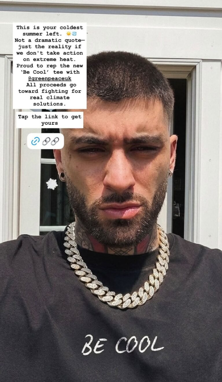 zayn malik promotes
