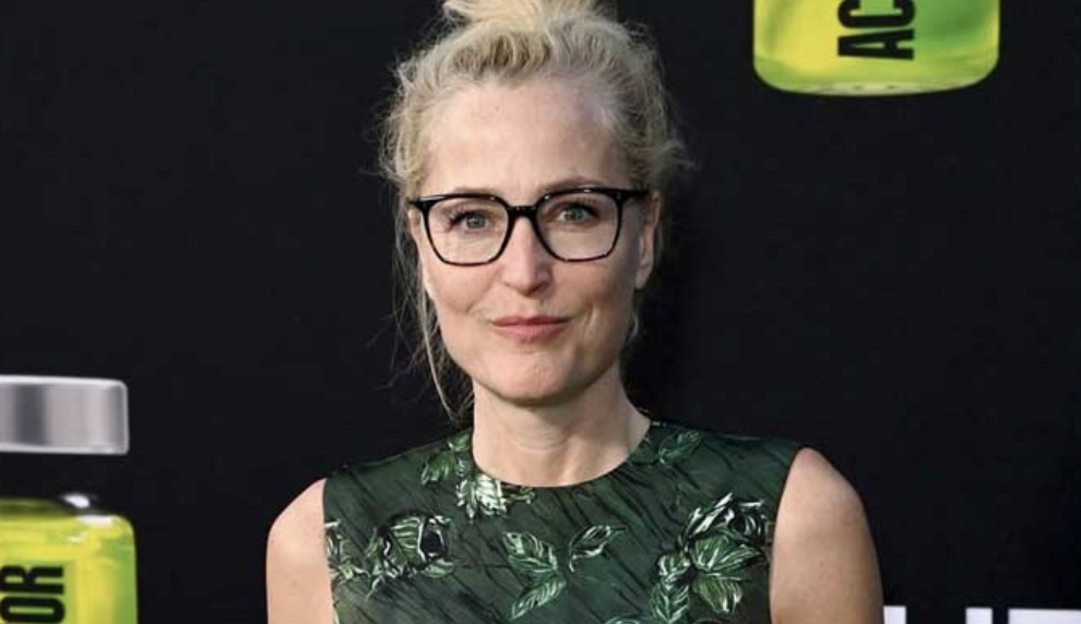 gillian anderson makes