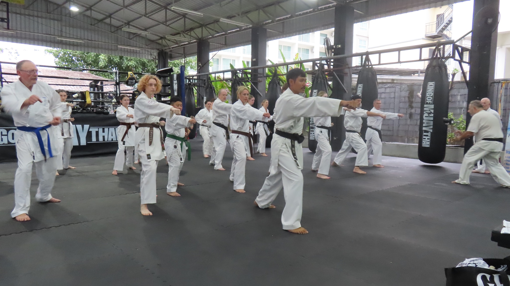 martial artists countries