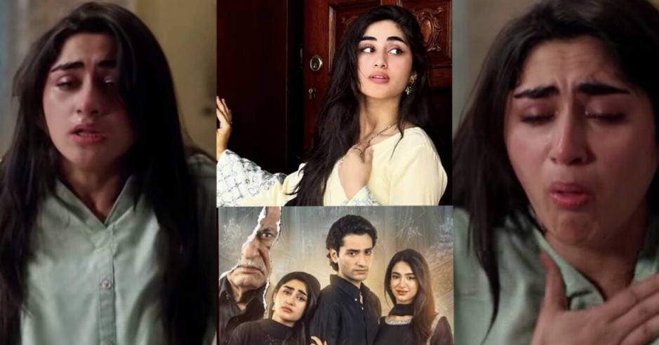 zoha tauqeer criticized