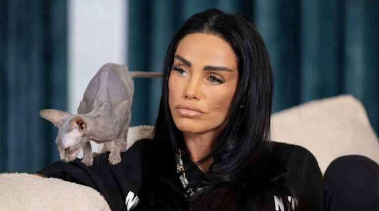 katie price shares