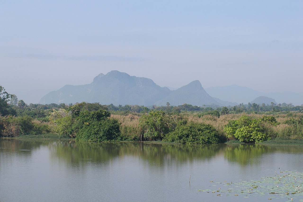 thai tourist found