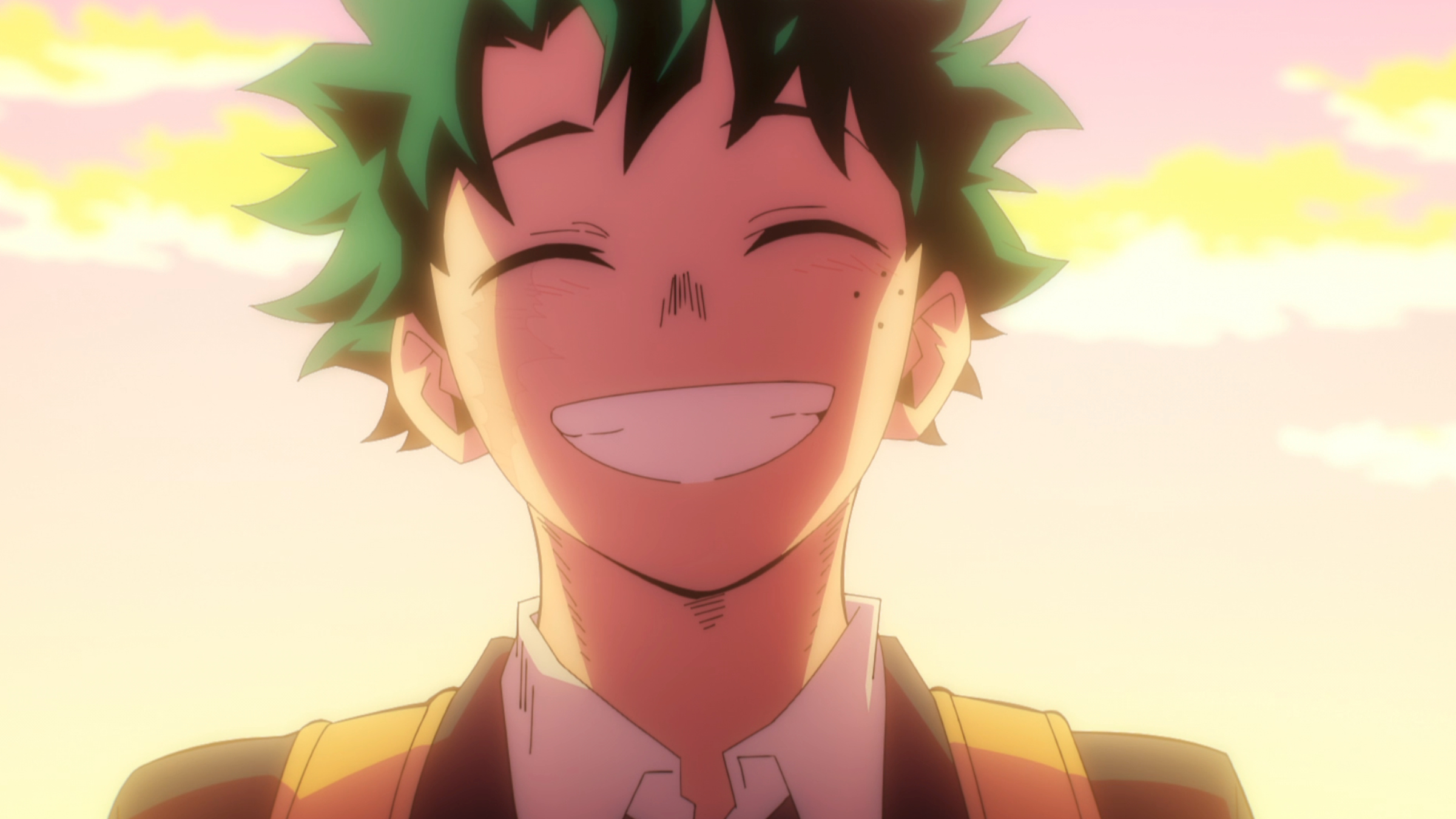 hero academia confirms