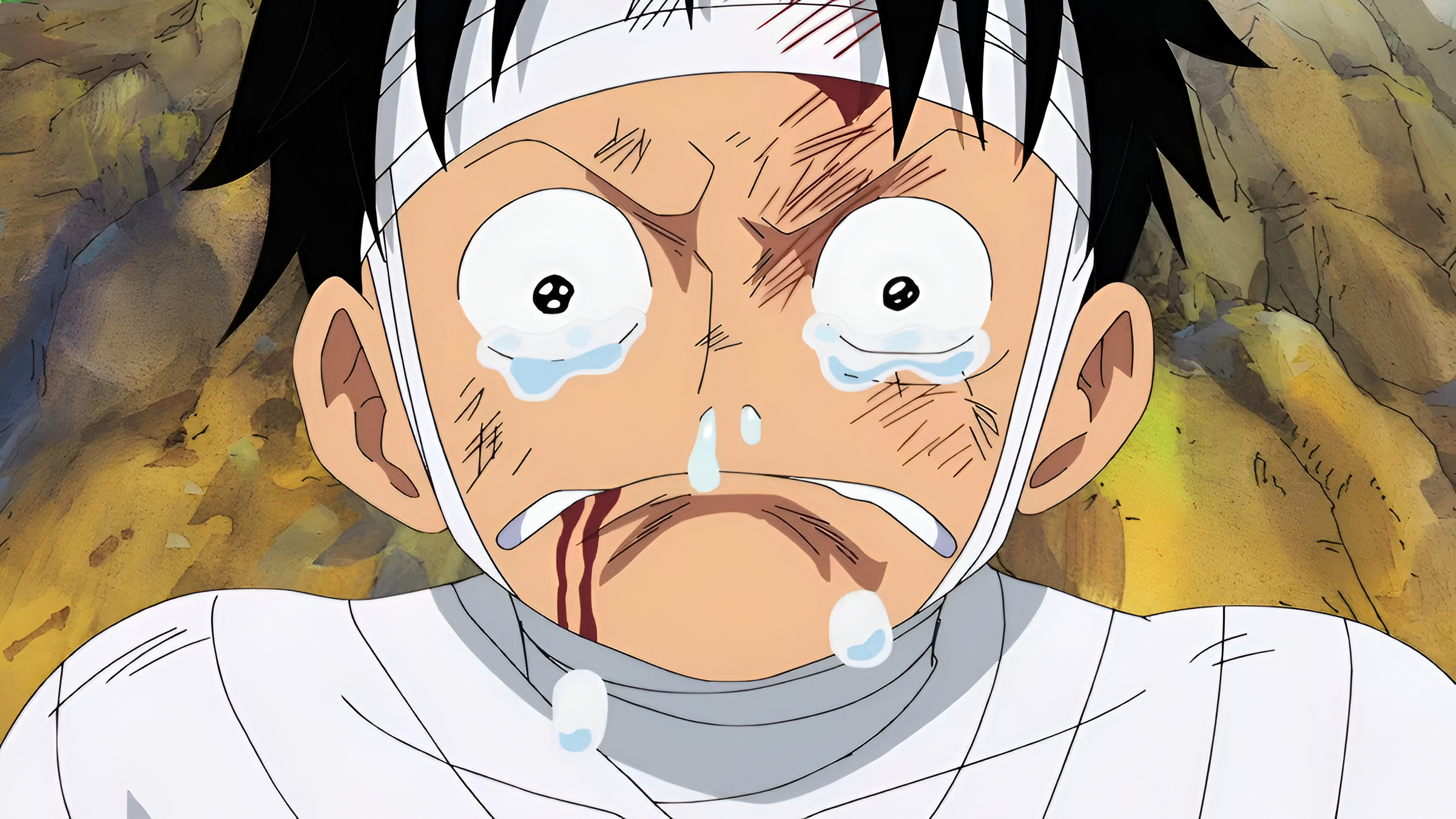 one piece just