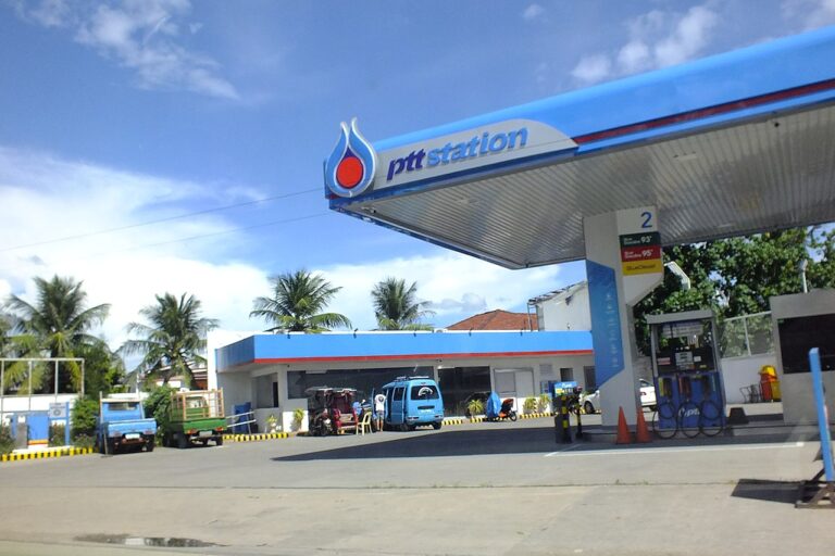 energy minister fuel