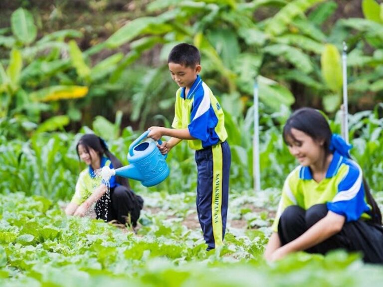 remote school chiang